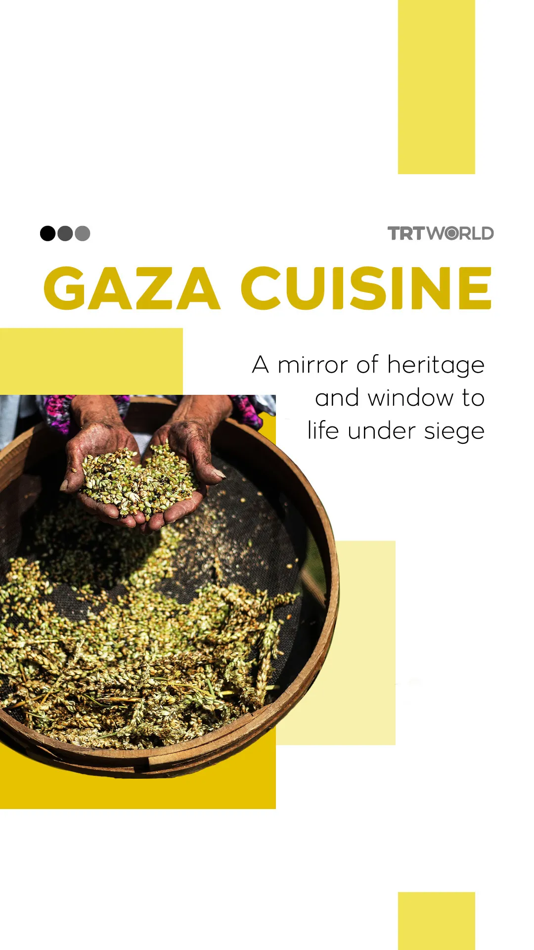 "غزہ پکوان: ایک فلسطینی سفر"